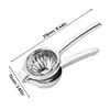 silver-S