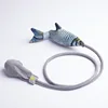 crucian carp