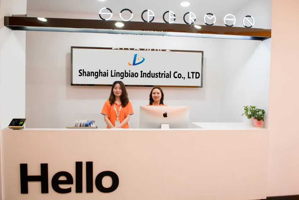 Shanghai Lingbiao Industrial Co., Ltd. 1