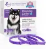 3 pièces chien violet