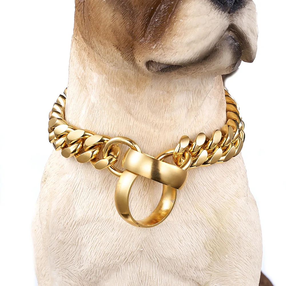 small gold dog collar