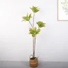 1.5-meter, 4-headed, 2-stem golden banyan tree, green
