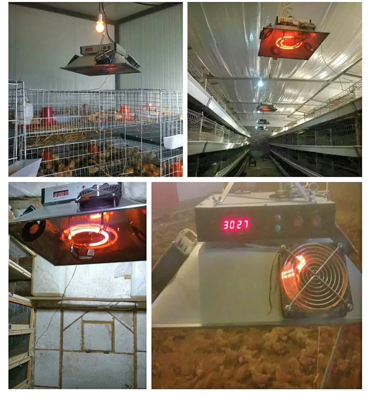 Automatic Electric Poultry Brooder Heater Energysaving Electric Piglet