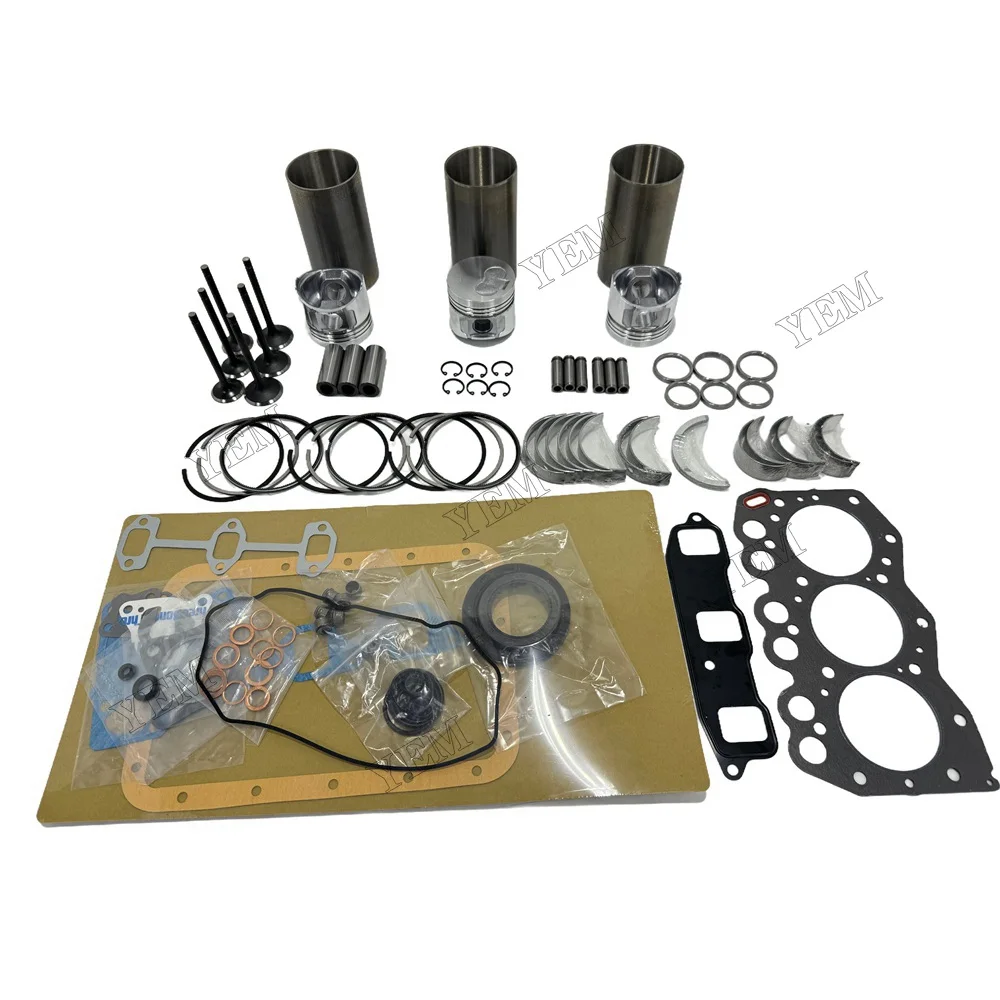 TK3.66 Overhaul Rebuild Kit For Thermo King Engine Piston Ring Gasket Bearing 2