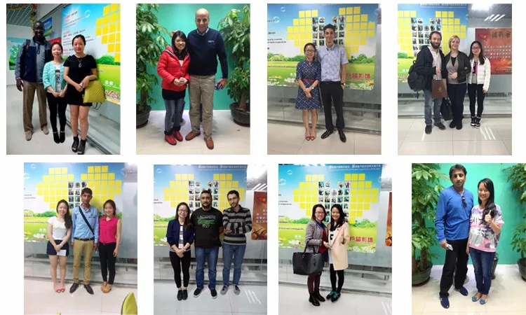 Computer accessories hot sale graphic card 2gb ddr3 gt 710