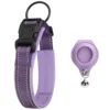 Purple 1