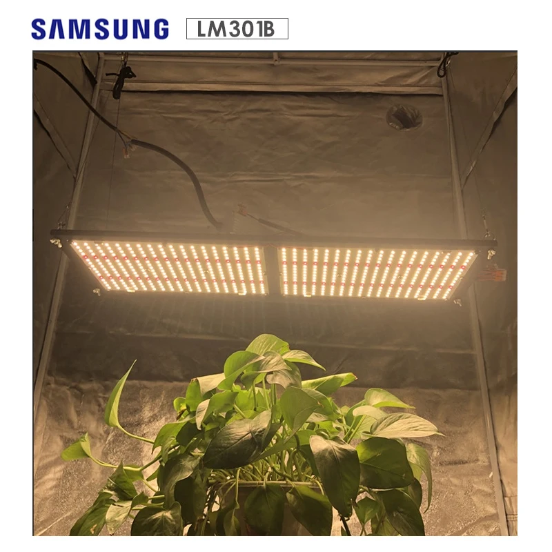 DIY 120W/240W Full Spectrum Quantum LED Grow Light for Indoor