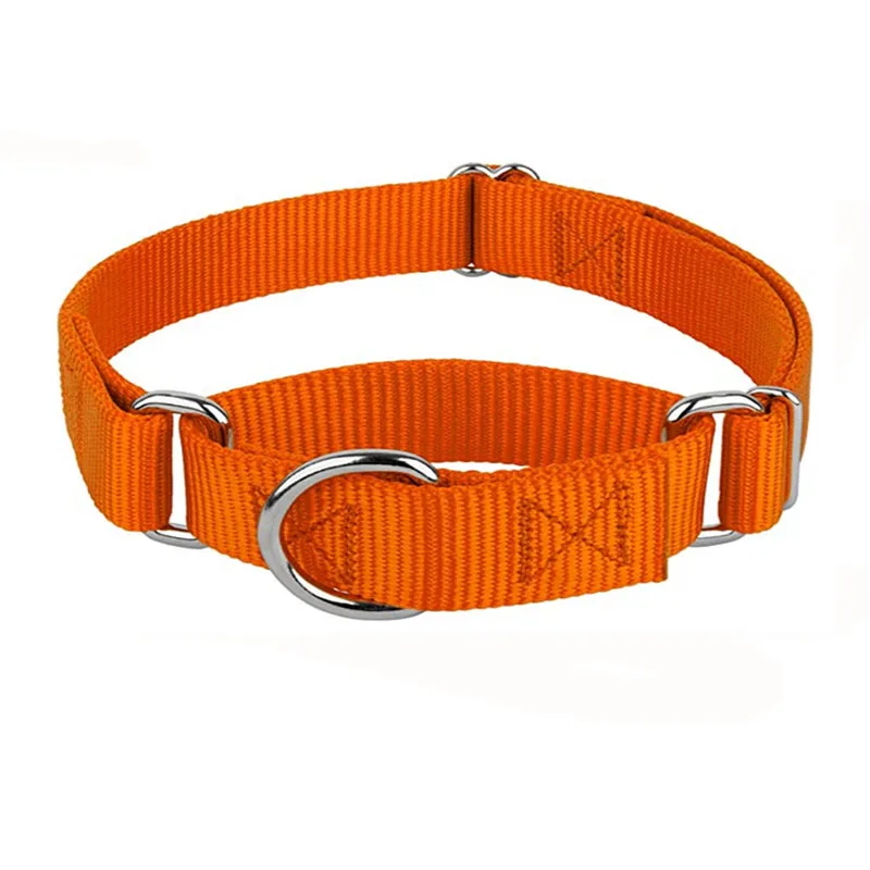 cat collars martingale