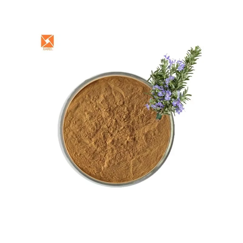 100% Natural Extract Pure Rosemary Extract Powder Rosemary Extract Halal