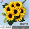 Girasoles XZG de 7 cabezas, enviados por separado.