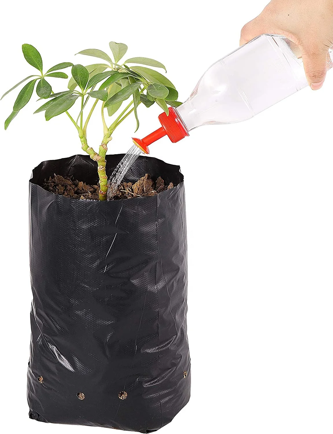 CRODOR India Plastic Grow Bags for Garden  Gardening Green Leafy  Vegetable Nursery Use at Home Terrace Kitchen Rooftop Support Plant   Saplings Flat Pack of 100 Black  Amazonin Garden 