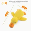 Canard - Petit