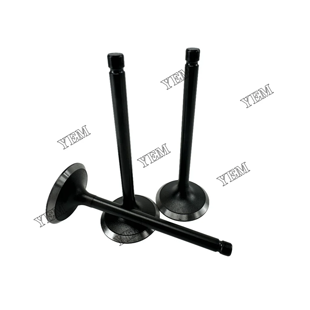 Intake Valve Fit for ISEKI E3CD Engine 3