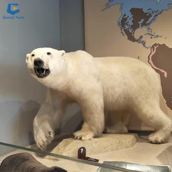 H59c637bccc5842ce84698d9e6d53c