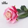 Single crystal rose, deep pink