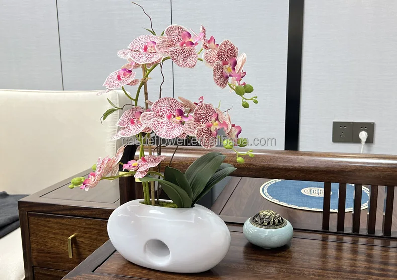F-P0284 hochwertige Real Touch Blumen arrangement Mini Bonsai Orchideen  Pflanzen mit Topf echte Berhrung knstliche Phalaenopsis Bonsai|  Alibaba.com
