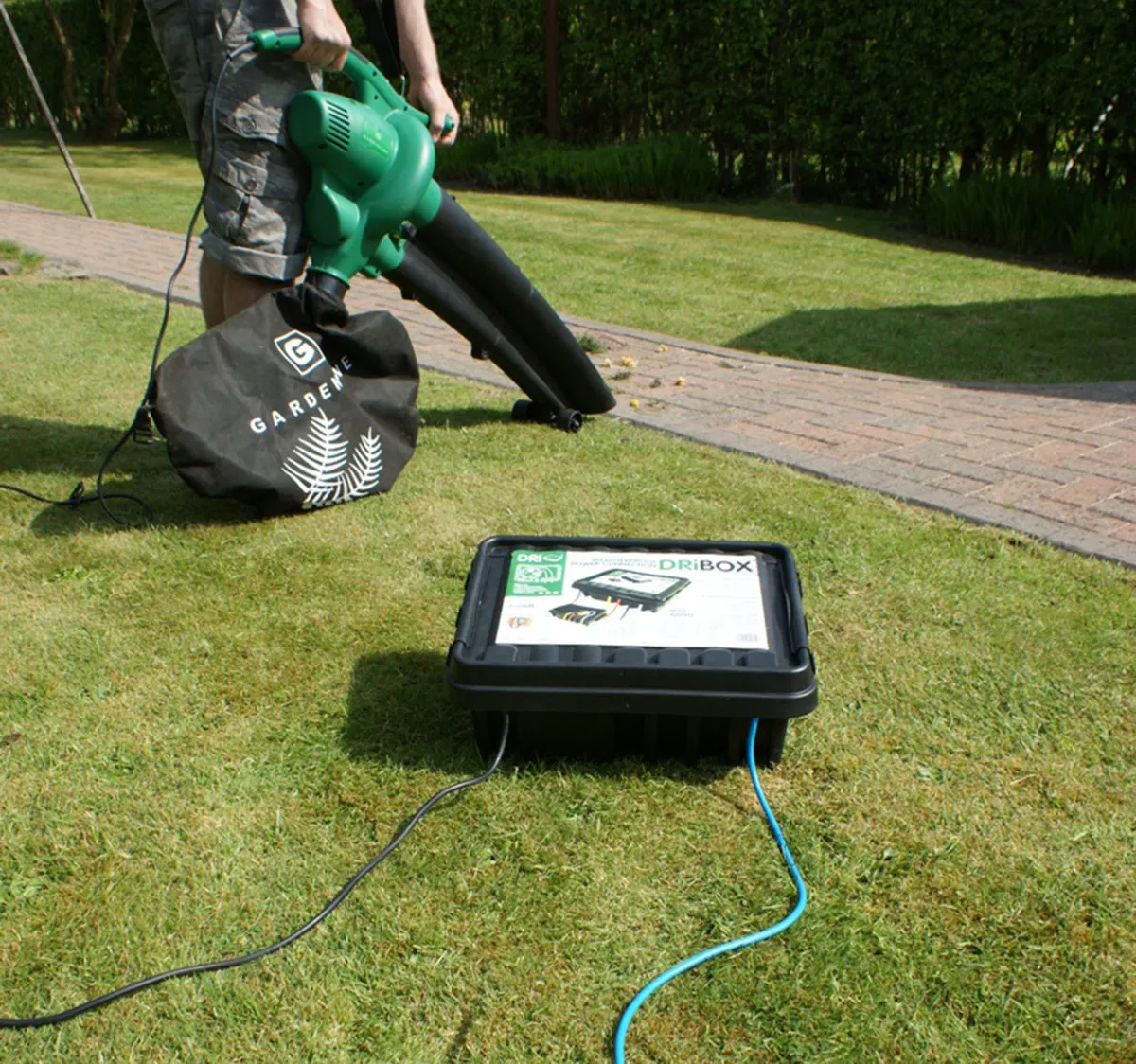 DRiBOX285_Image6.jpg