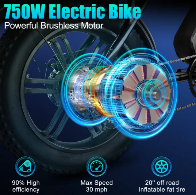 electric bicycle  (4)