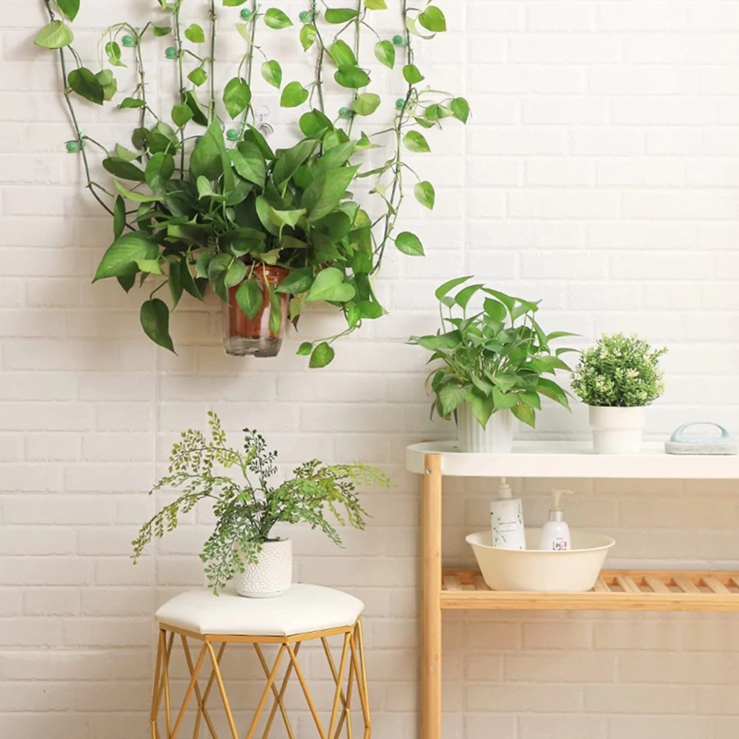 Plastic Pot Plant Support Clips Home Garden Plant Accessories