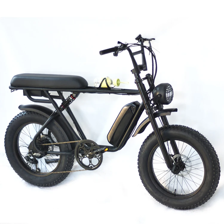 Hot Sale Customized Vintage Fat Tire Ebike Motorcycle Electric Bicycle Lithium Battery Ebike Battery