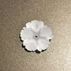 F2VNW02-12
