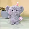Koala educato
