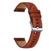 Brown  (Silver buckle)