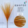 A bundle of small orange reeds