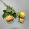 #2 Rose