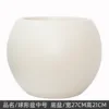 Plastic spherical beige r plant