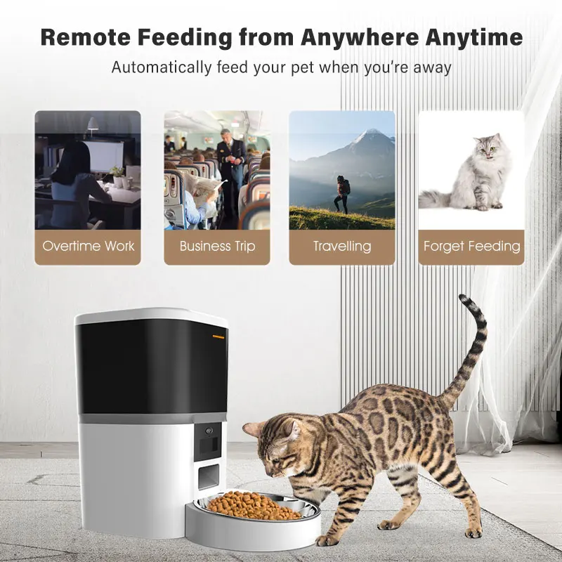WiFi Pet Automatic Feeder Transparency Elevated 304 Stainless Steel Pet Bowl Products Cat Food Automated Pet Feeder