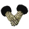 Leopard print gloves-black