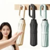 Umbrella 7