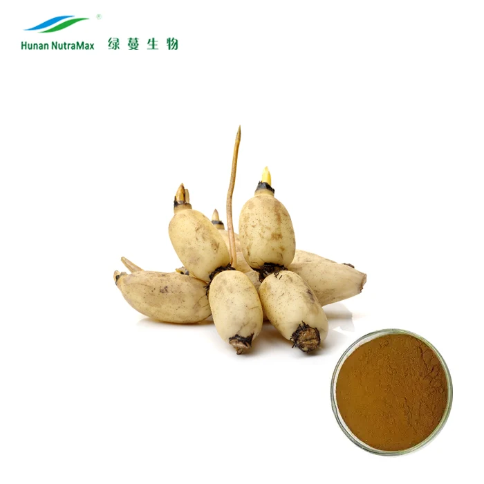 Nelumbo Nucifera Estratto Di Radice Loto Rizoma Estratto Estratto Di Radice Di Loto Buy Estratto Di Radice Di Loto Loto Rizoma Estratto Estratto Di Radice Di Nelumbo Nucifera Product On Alibaba Com