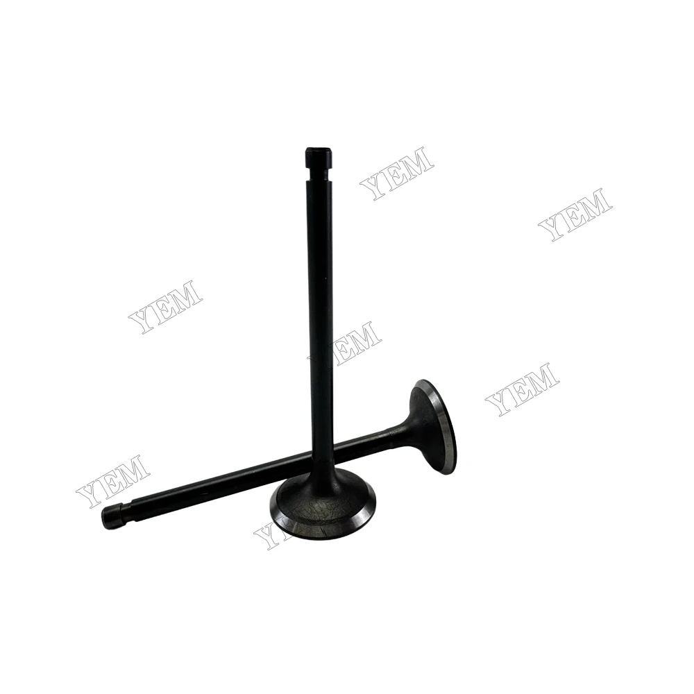 Intake Valve for Nissan H20-2 Diesel Engine Parts 2