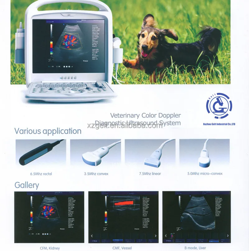 Medical Ultrasound Machine Dog Veterinary Ultrasound Machine For Dogs