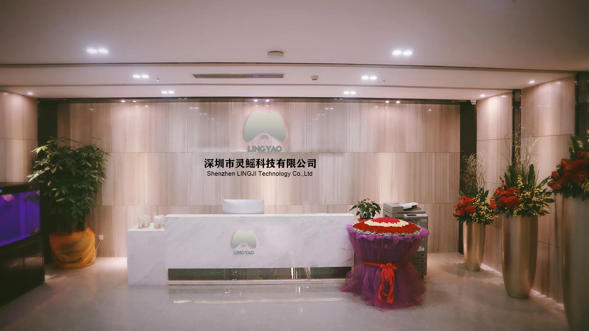 Shen Zhen Ling Ji Technology Co., Ltd. 1