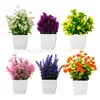 6-pot combination