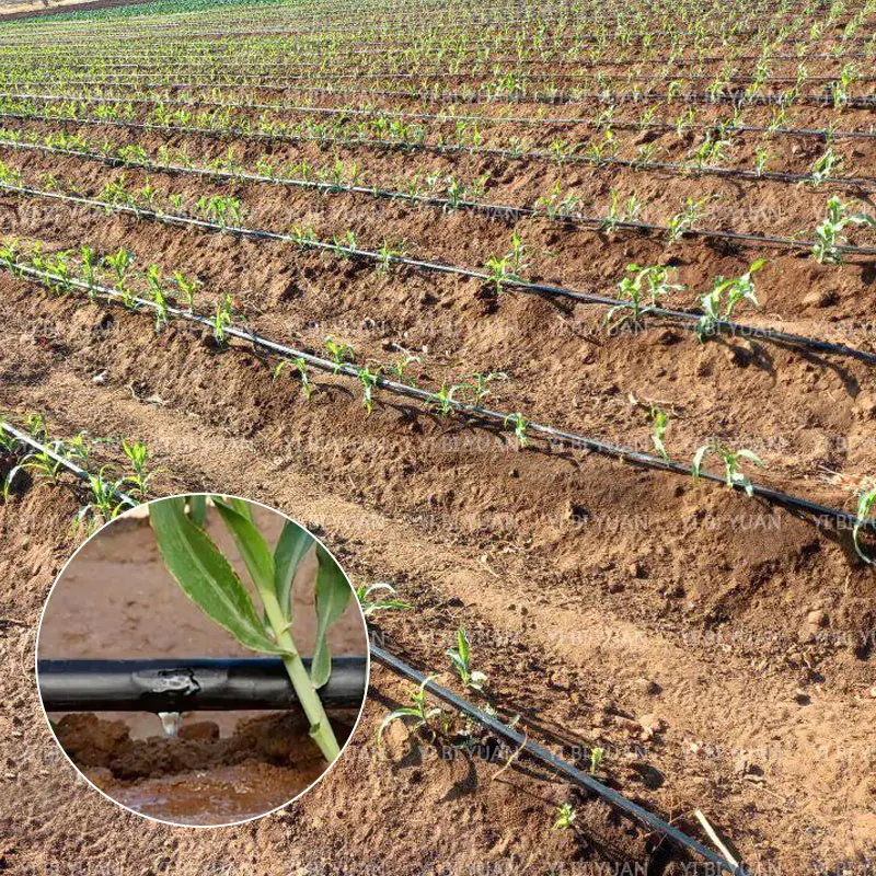 1 Hectare Drip Irrigation Full System Kit Double Outlet 100 Spacing Drip Tape Irrigation 1000 16 Diameter