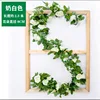 16-head French rose (creamy white)