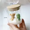 Little Bear Cup Wax Succulents Style