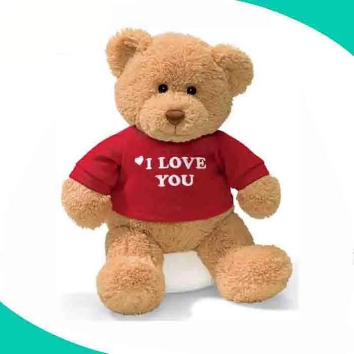 voice recording teddy bear australia