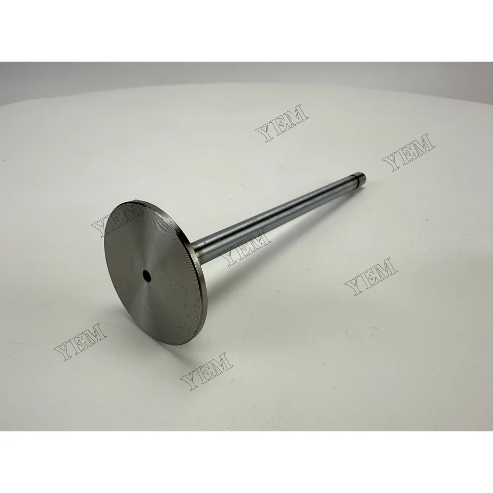 3978768 Intake Valve for Volvo TAD741GE Wholesale Engine Parts 5