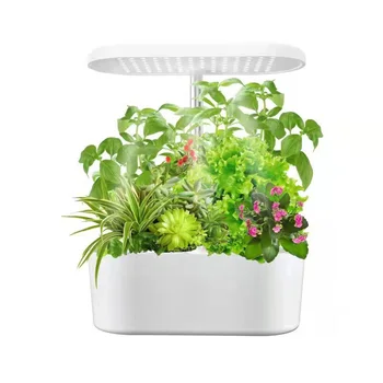 Mini Small Indoor Hydroponic Growing Systems Hydroponic Led Plant Grow Light Box for Home Vegetables Flower