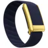 #12 Midnight Blue With Gold Frame for Whoop 5.0