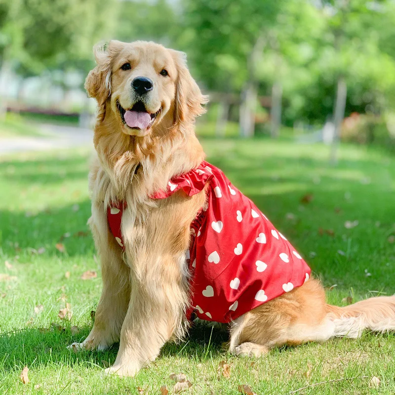 Princess Dress for Large Dogs - Golden Retrievers & Samoyeds