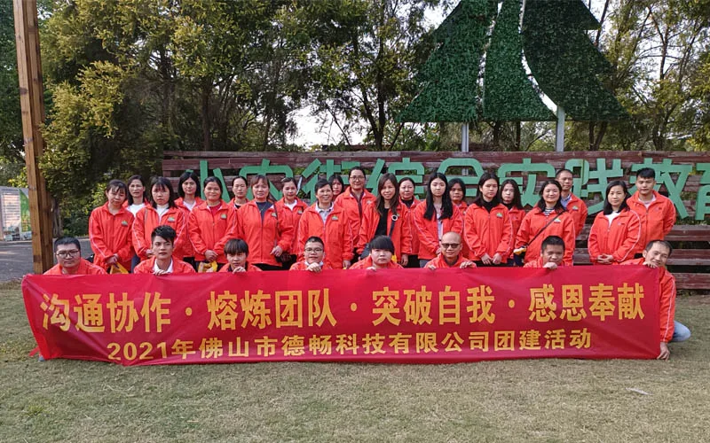 Foshan Dechang Technology Co., Ltd. 3