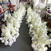 1 white