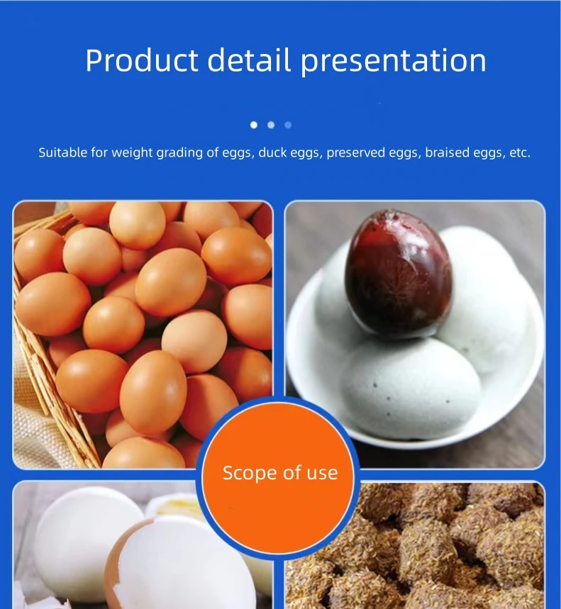 Sorter Scale Grader Egg Sorting Grading Machine Buy Egg Sorter,Egg