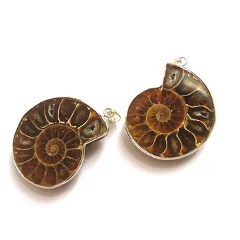 Wholesale bulk Ammonite Fossils Conch Pendant Half Cut Ammonite Snail Fossil Pendants For Necklace Jewelry